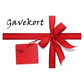 100.2500 Gavekort på værdi 1.500 kroner til Tim´s & Frederikshavn - Køb gavekort til Tims modeltog - Tim´s floorball & modeltog