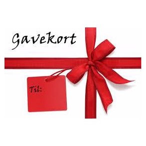 100.2500 Gavekort p vrdi 2.000 kroner til Tims floorball & modeltog 9900 Frederikshavn