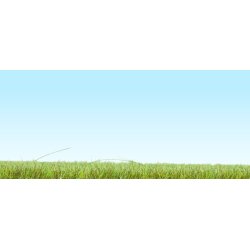 Noch HO 08151 str grs sommer 120 gr