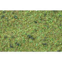 Noch HO 08157 str grs skovbunden 120 gr