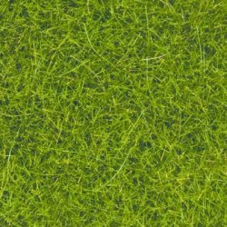 Noch HO 07097 Wild grsmark lysegrn 80 gr