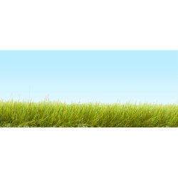 Noch HO 07099 Wild grsmark mrke grn 80 gr