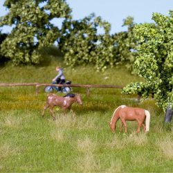 Noch 07403 Natur + ''sommer eng'' 