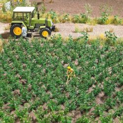 Busch HO 1266 Kartoffelplanter s�t�til 30 kartoffelplanter med filigran l�v. 