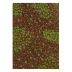 Busch HO 1321 Sommer skovbund Strrelse 190 x 250 mm.