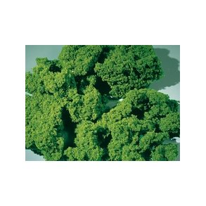 Auhagen 76976 MOSS skum lys grn medium