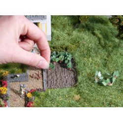 Noch 14602 spor N rabarber 18 stk.