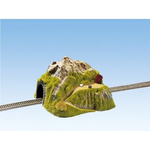 Noch 34640 spor N tunnel et vejs