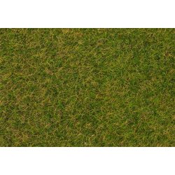 Faller HO/TT/N 170256 Spredefibre vildt grs, forsommereng, 4 mm, 1 kg