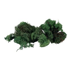 Faller 170431 Islandsk mos, grn, 50 g