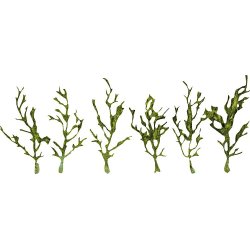 Faller HO 171839 PREMIUM vinstokke, grnne