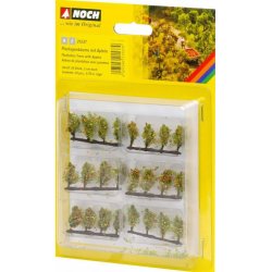 Noch 21537 spor N/Z plantage bletrer med frugt