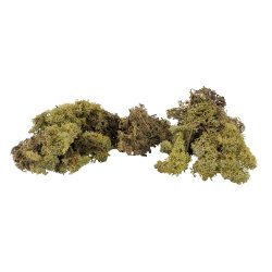 Faller 170432 Islandsk mos olivengrn 50 gram