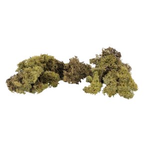 Faller 170432 Islandsk mos olivengrn 50 gram