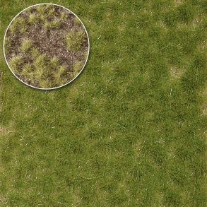 Busch alle str. 3531 Grs tuft forr, to-tone Strrelse: 138 x 88 Nyhed 2021