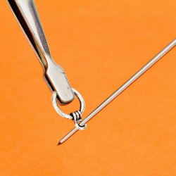 Modelcraft vrktj PTW5000 pincet st 4 stk.