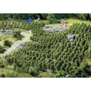 Faller HO 181490   36 vinstokke