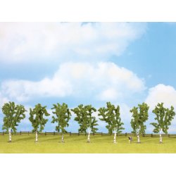 Noch HO-TT-N-Z 25096 Birk trer 7 stk. 10 cm hj 