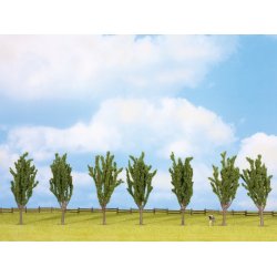 Noch HO-TT-N-Z 25098 popler 7 styk 12 cm hj