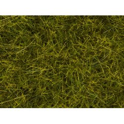 Noch HO 07110 vildgrs eng 12 mm. Hj 40 gram 