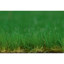 Auhagen HO 76701 Grs tuft Hjde 2-6 mm, overfladeareal 210 x 148 mm.