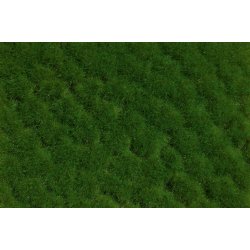 Auhagen HO 76702 Gr�s tuft for�r 2-10 mm. Areal 210 x 148 mm. Nyhed 2023