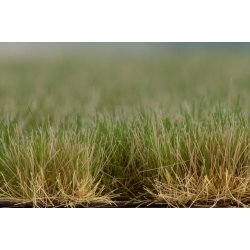 Auhagen HO 76706 Grs tufts efterr 2-10 mm. Areal 210 x 148 mm. Nyhed 2023