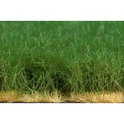 Auhagen HO 76800 gr�s Reeds Summer 5-20 mm. Overfladeareal 210 x 148 mm