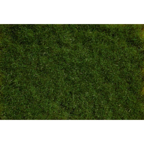 Auhagen HO 76800 grs Reeds Summer 5-20 mm. Overfladeareal 210 x 148 mm