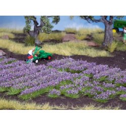 Noch HO/TT 07136 Lavendel 18 buske 18 rkker