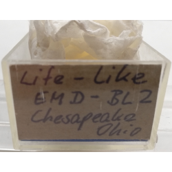 Life Like 1845 spor N USA diesellok EMD BL2 Chesapeake and Ohio Litra 1845 til analog drift