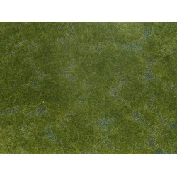 Noch alle str. 07252 Groundcover Lv mrkegrn 12 x 18 cm.