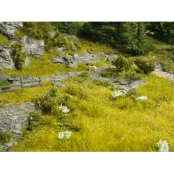 Noch alle str. 07474 Natur+ "Grs Steppe" 2 stk., hver 25 x 25 cm.