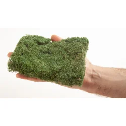 Noch alle str. 07311 PROFI busk mrkegrn 40 gr.