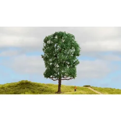 Noch 20105 alle str. Kastanjetr 19 cm hj