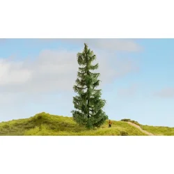 Noch 20190 alle str. Gran tr 19 cm hj. Nyhed 2023