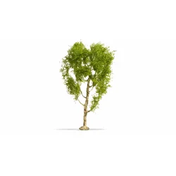 Noch 20125 alle str. Dunet birk 21 cm hj. Nyhed 2023