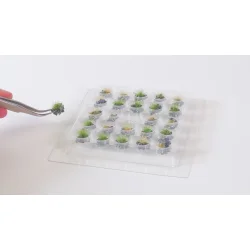 Noch 06910 alle str. PROFI grs tuft "trt grs" grn, beige, med brun flok 25 stykker, 6 mm