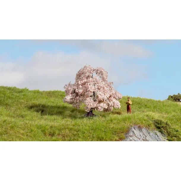 Noch 20147 alle str. Kirsebrtr 6 cm hj. Nyhed 2025